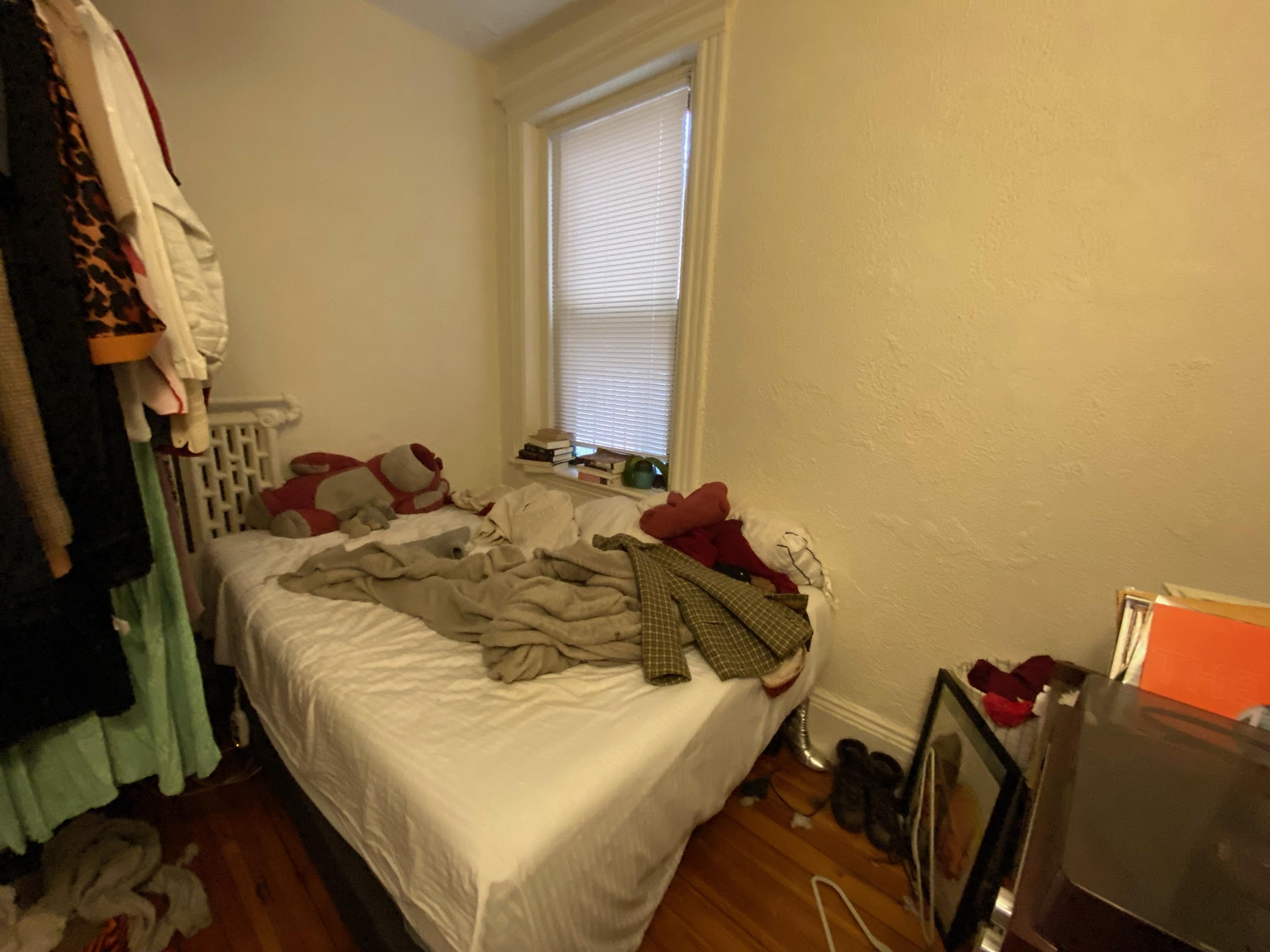 64 Myrtle St, Beacon Hill