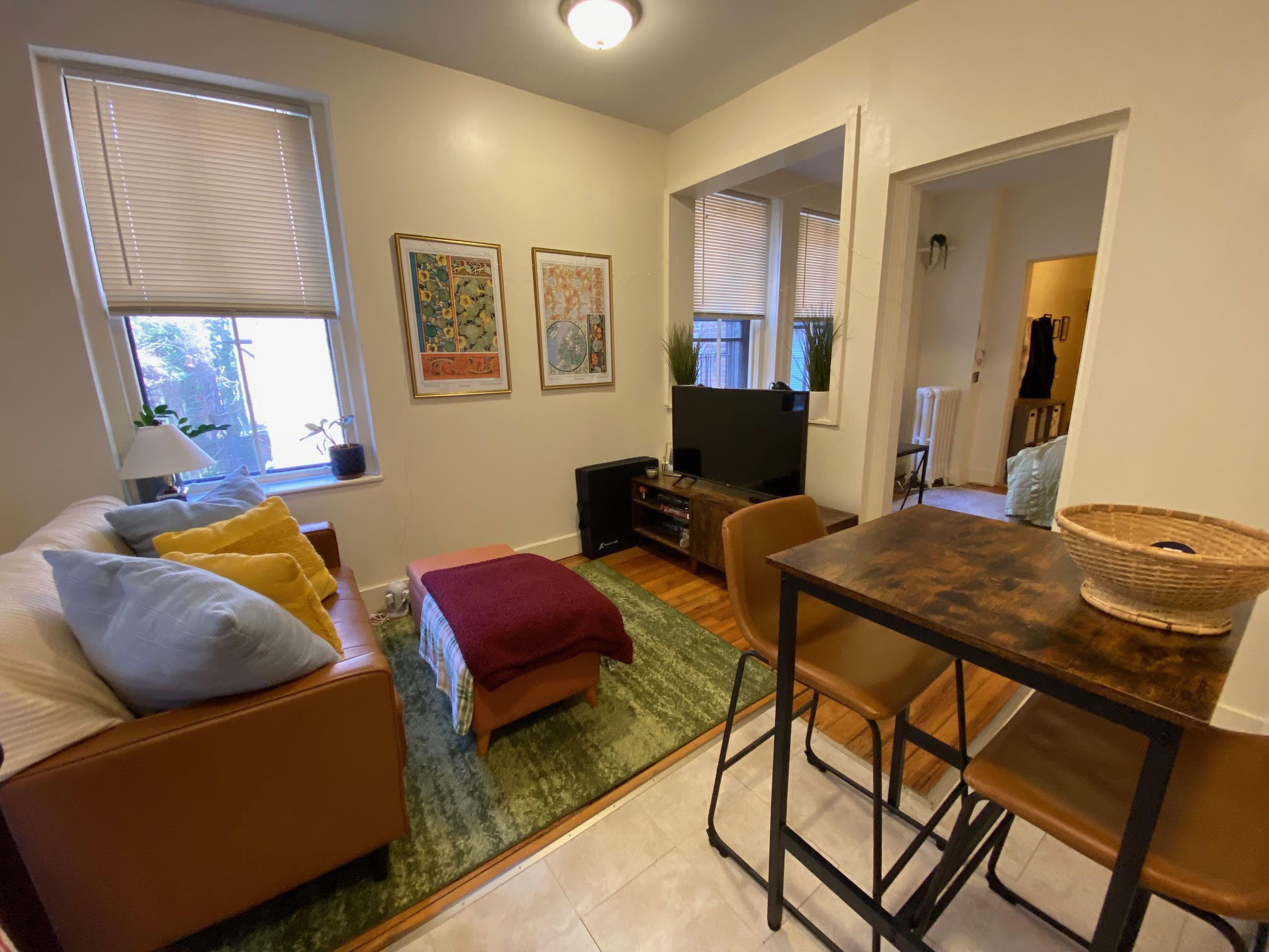 68 Myrtle St, Beacon Hill