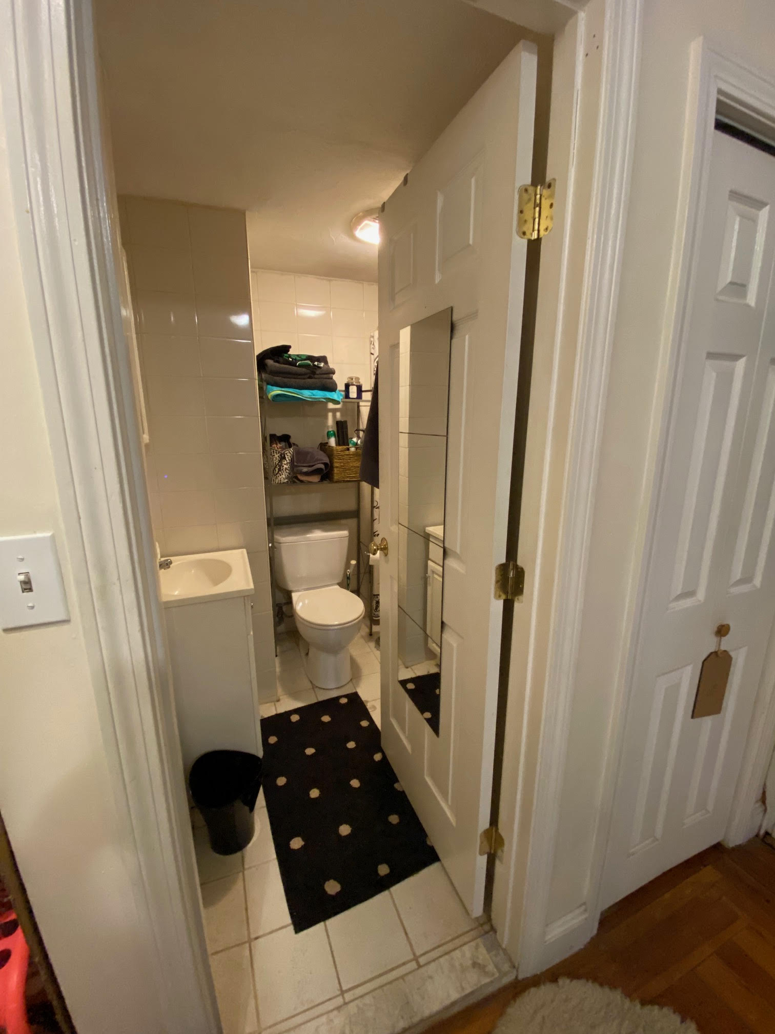 64 Myrtle St, Beacon Hill