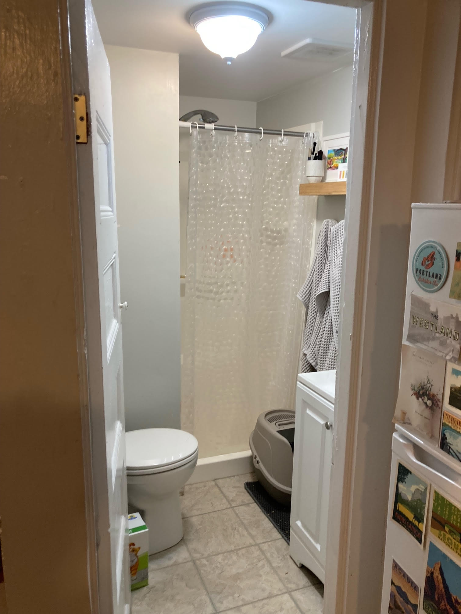 64 Myrtle St, Beacon Hill