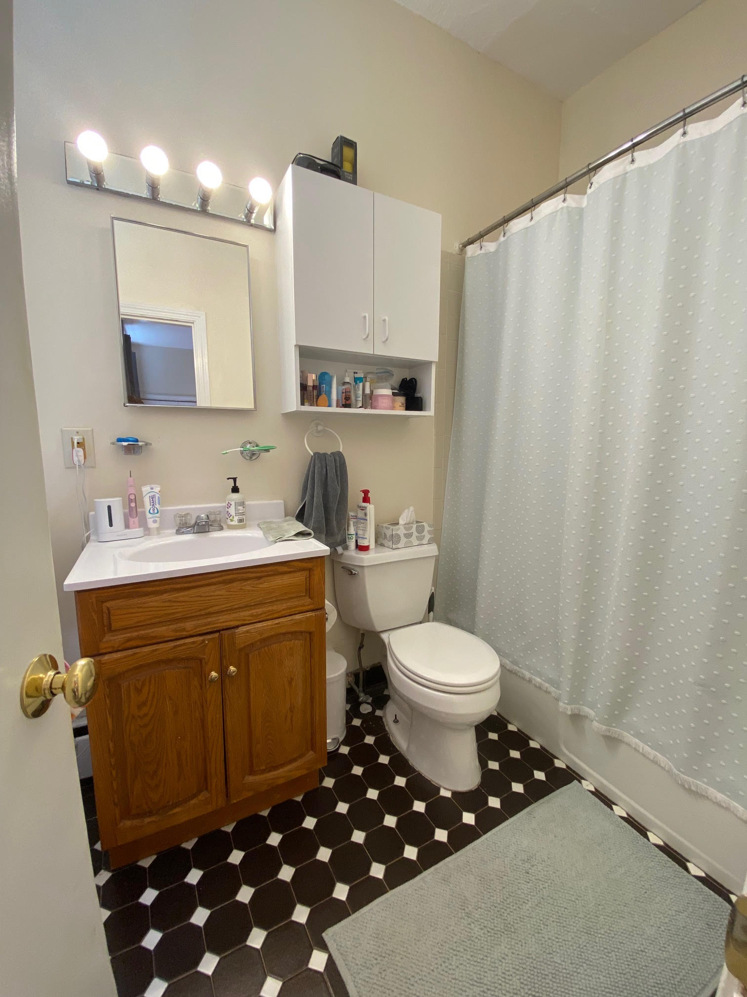 11 Russell St, Beacon Hill