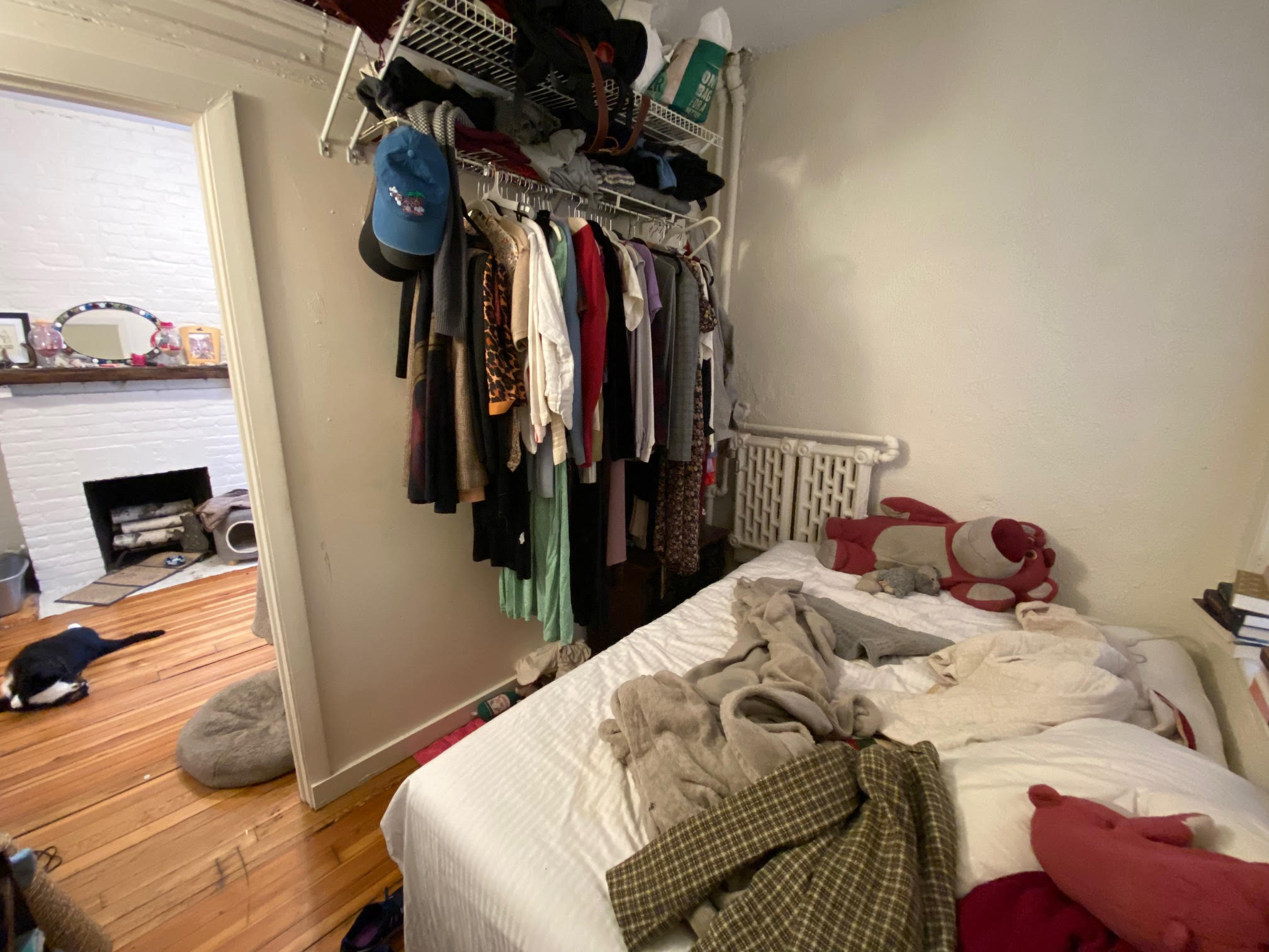 64 Myrtle St, Beacon Hill