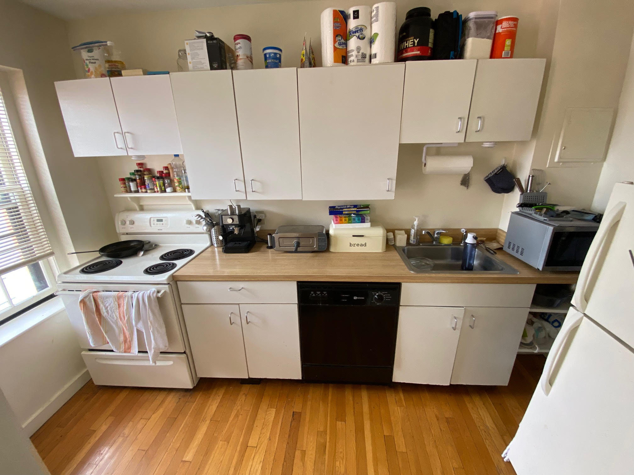 68 Myrtle St, Beacon Hill