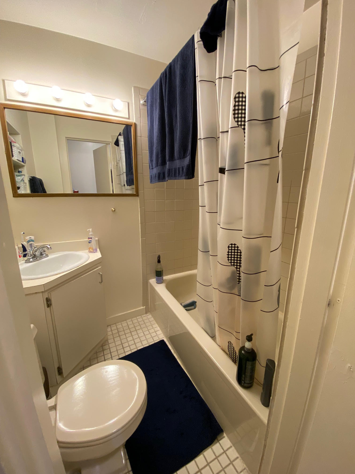 68 Myrtle St, Beacon Hill