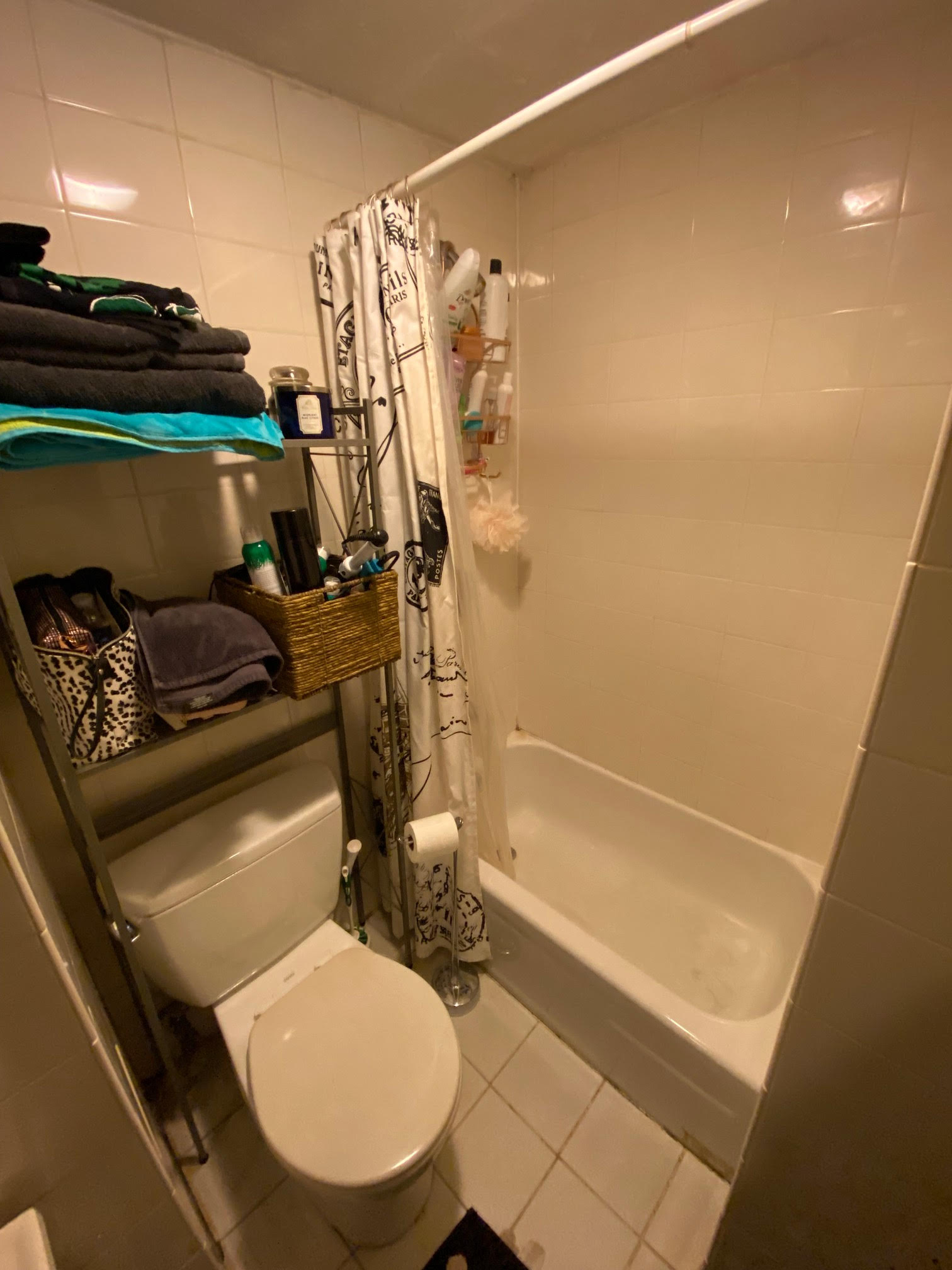 64 Myrtle St, Beacon Hill