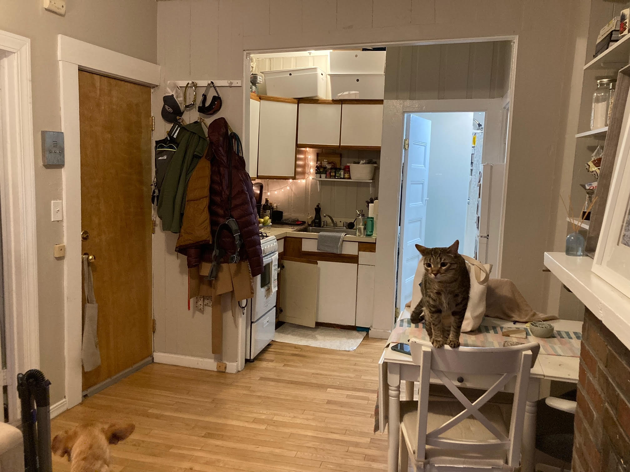 64 Myrtle St, Beacon Hill