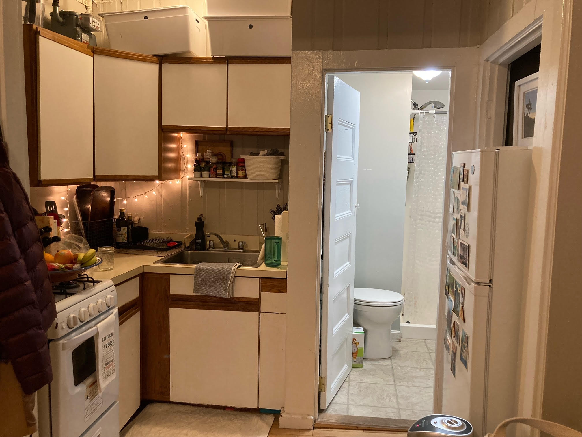 64 Myrtle St, Beacon Hill