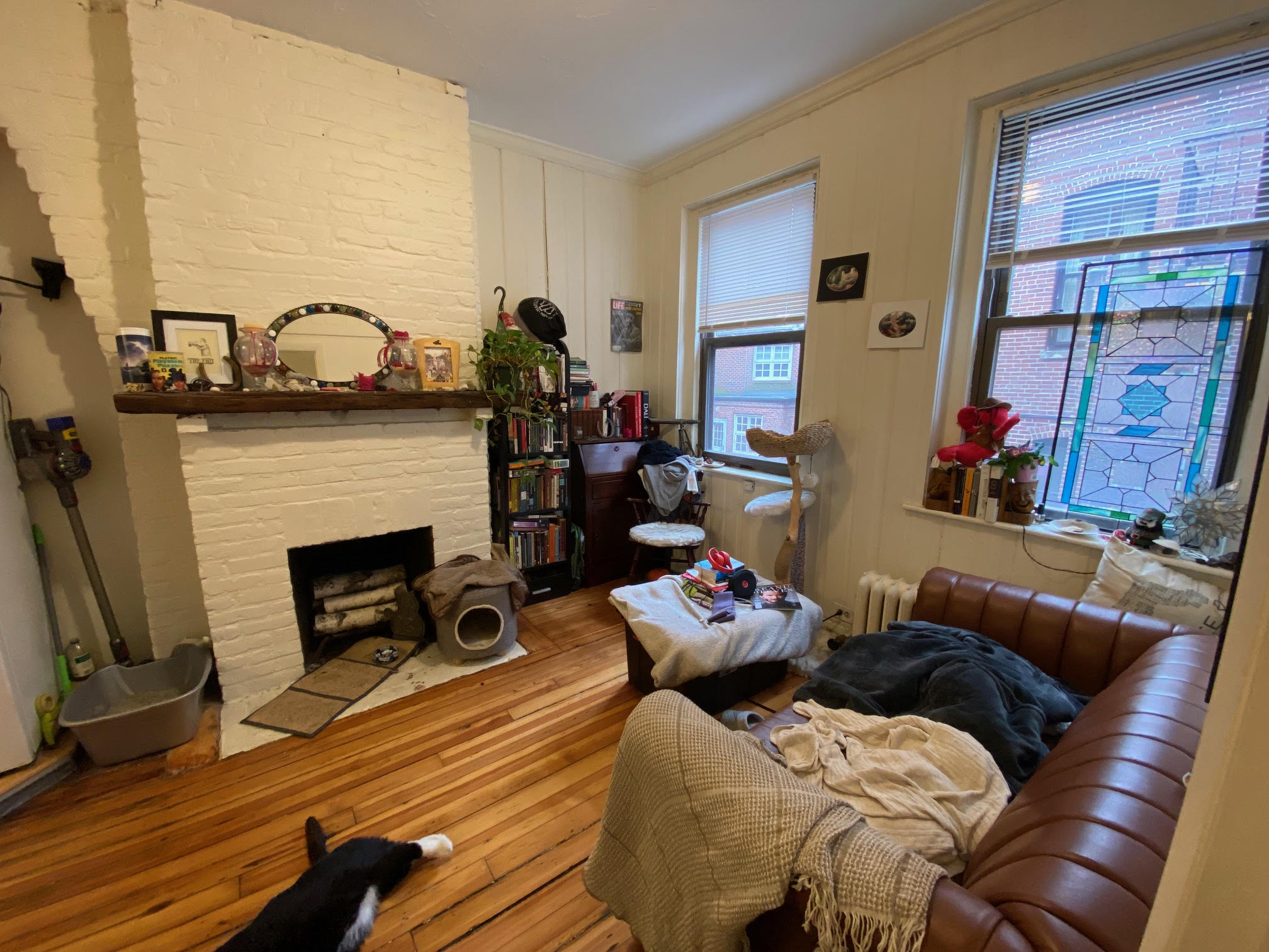 64 Myrtle St, Beacon Hill