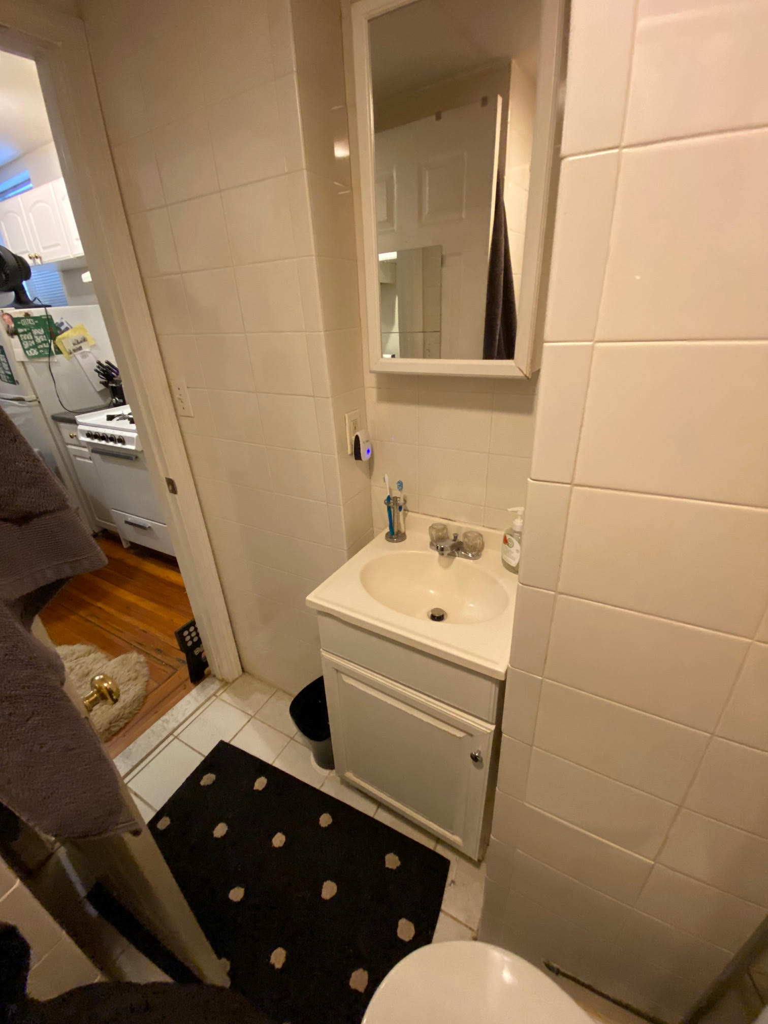 64 Myrtle St, Beacon Hill