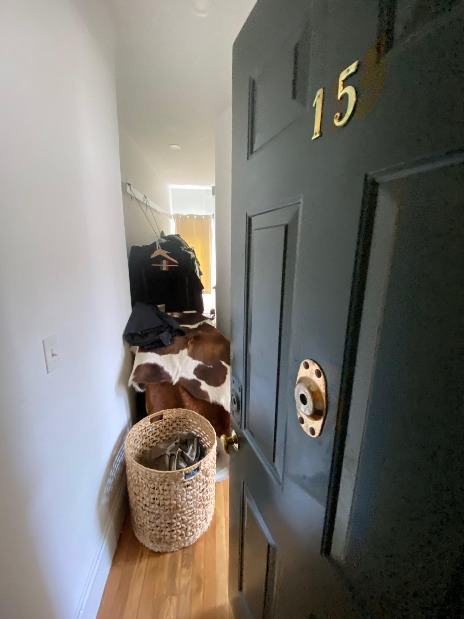 26 Myrtle St, Beacon Hill