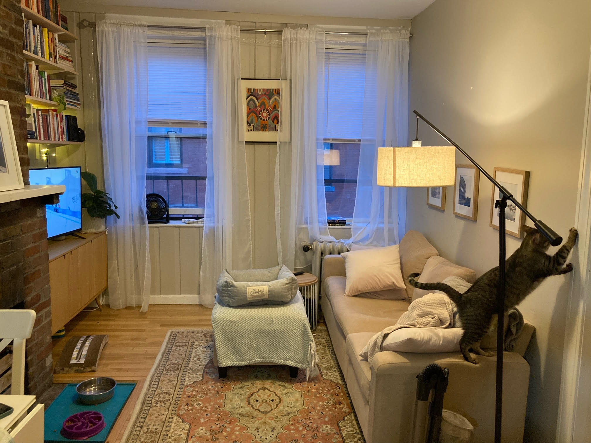 64 Myrtle St, Beacon Hill