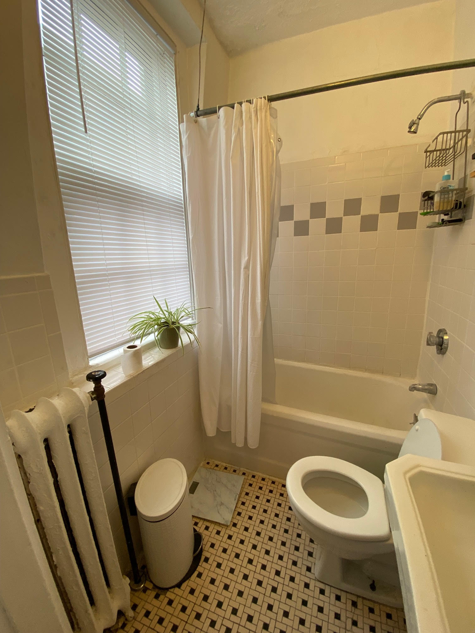 52 Russell St, Beacon Hill