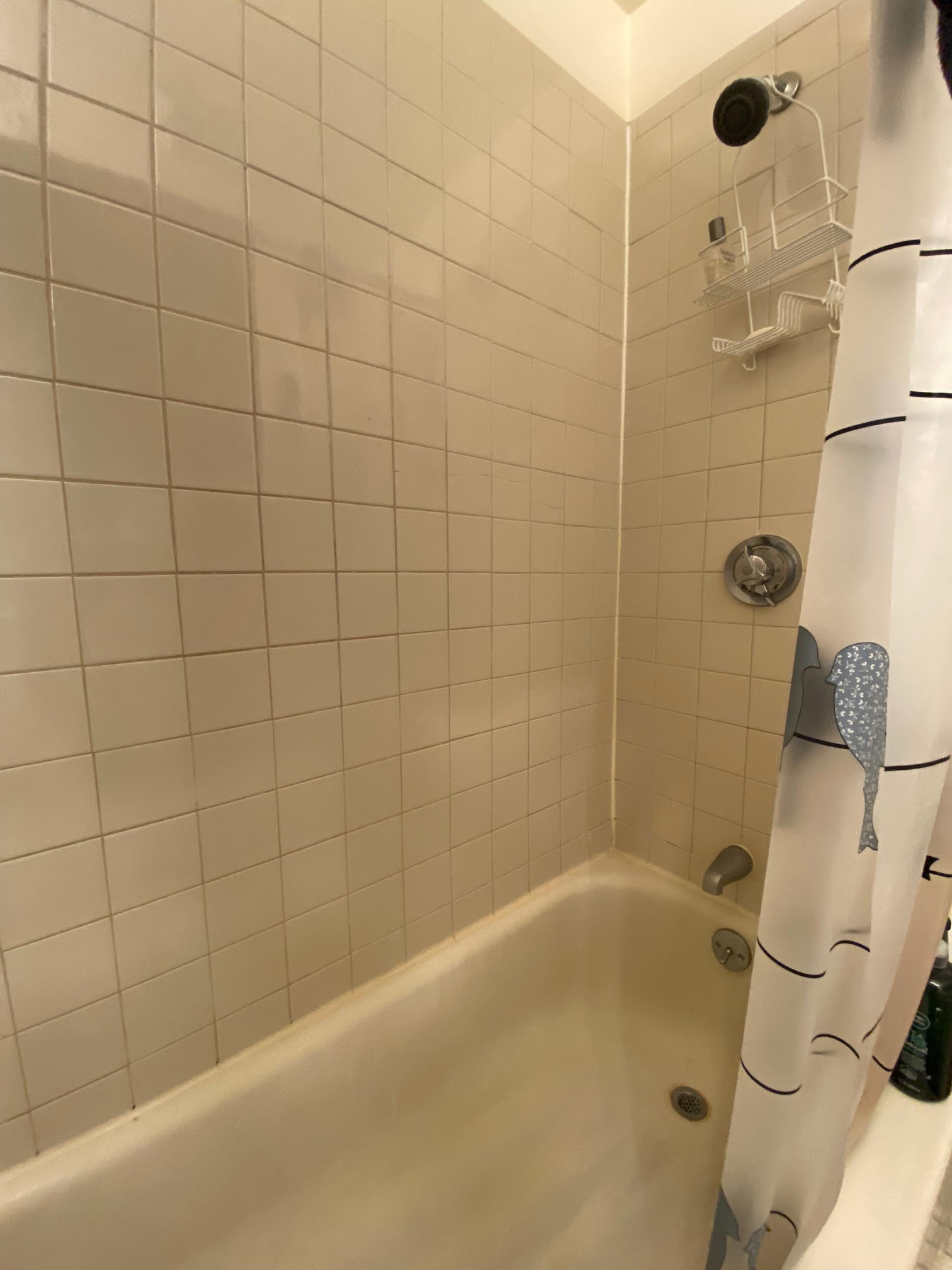 68 Myrtle St, Beacon Hill