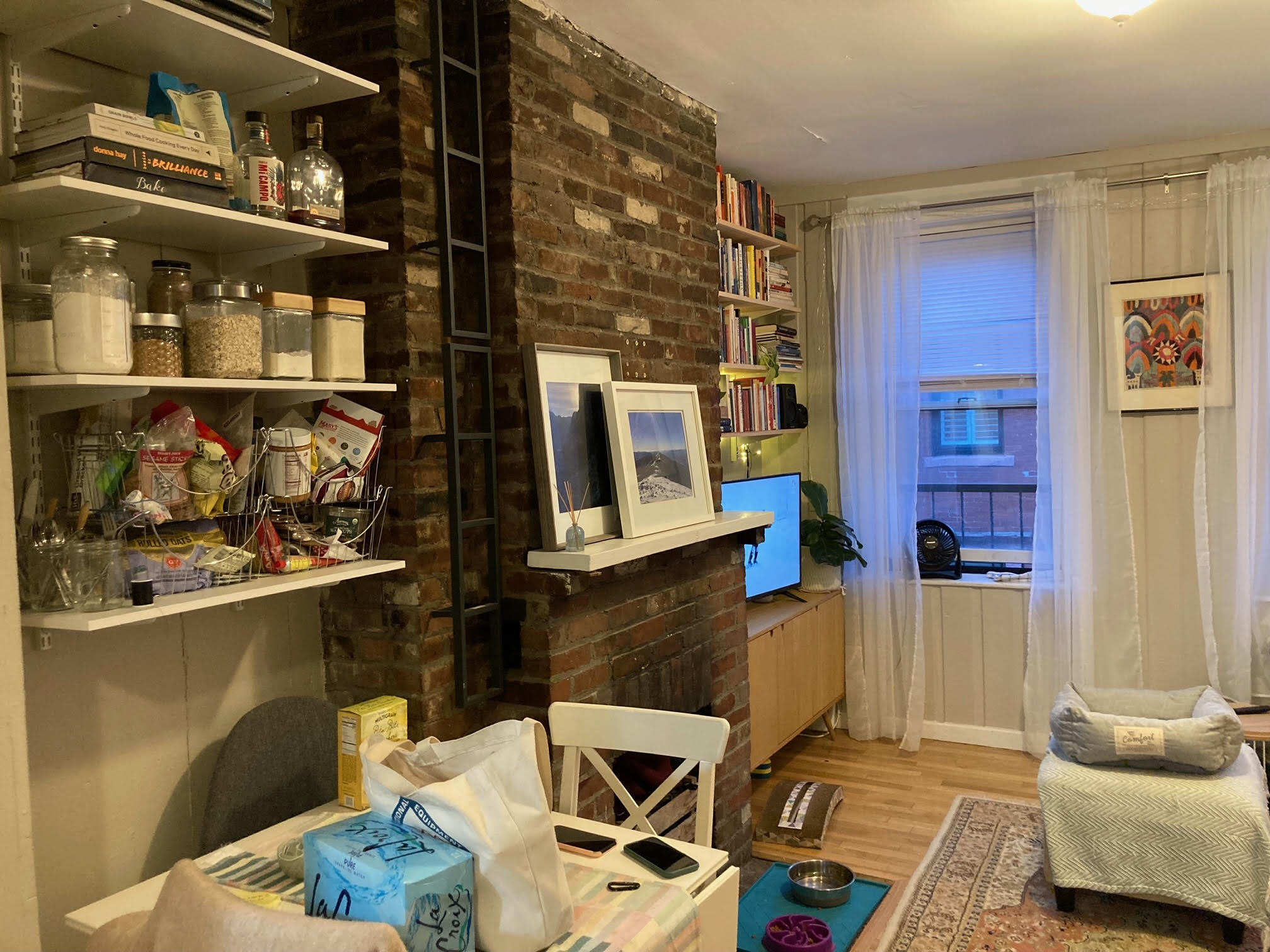 64 Myrtle St, Beacon Hill