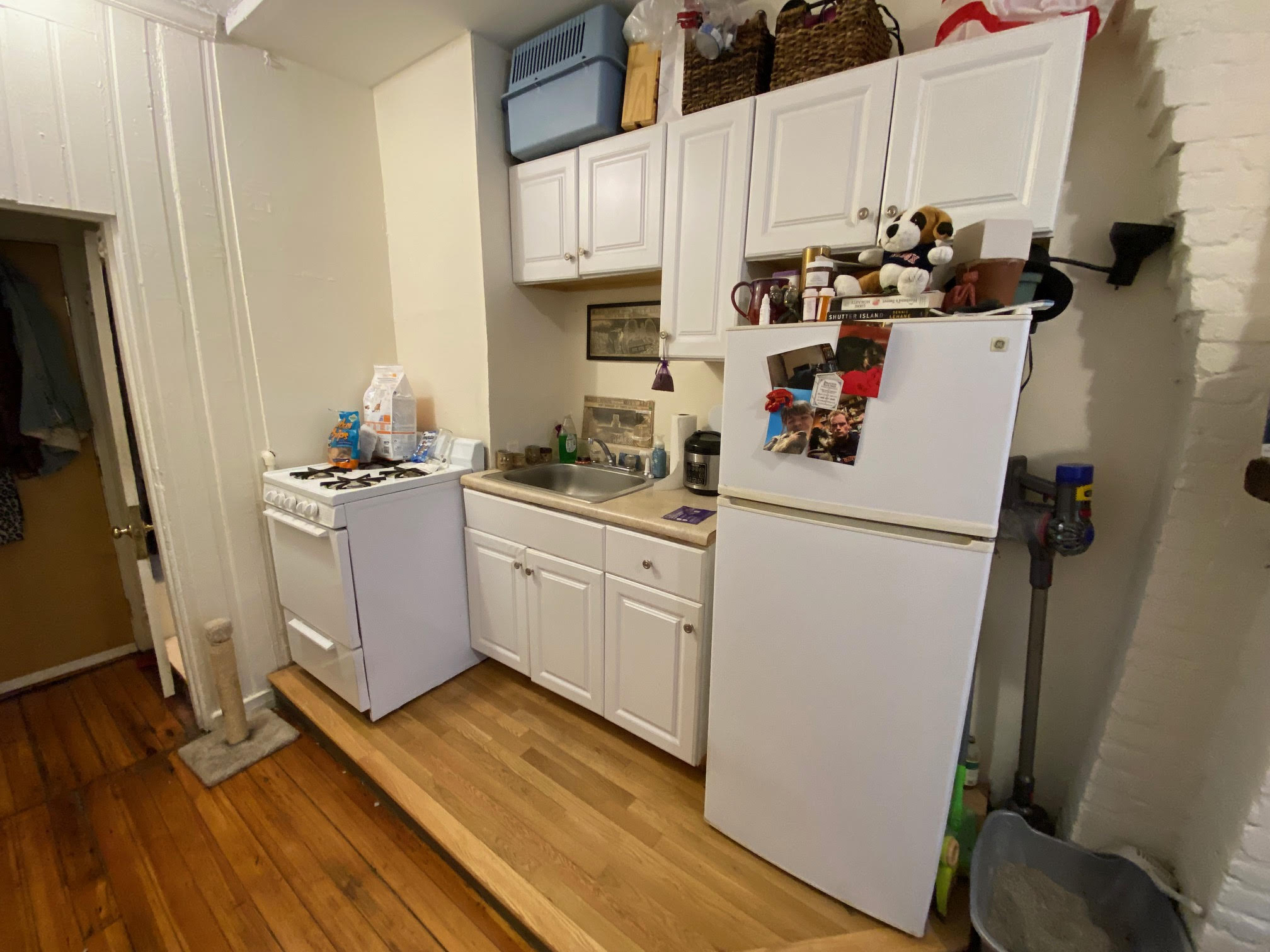 64 Myrtle St, Beacon Hill