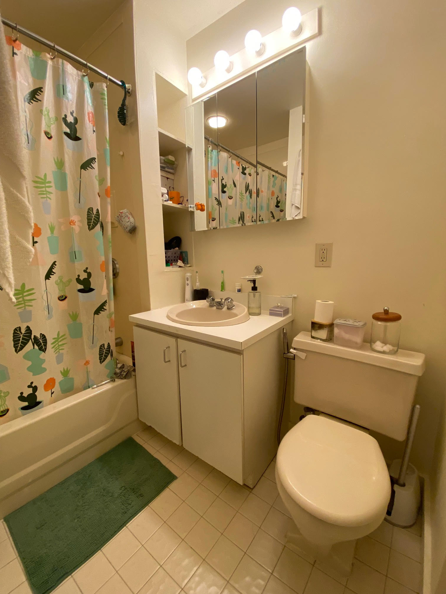 68 Myrtle St, Beacon Hill