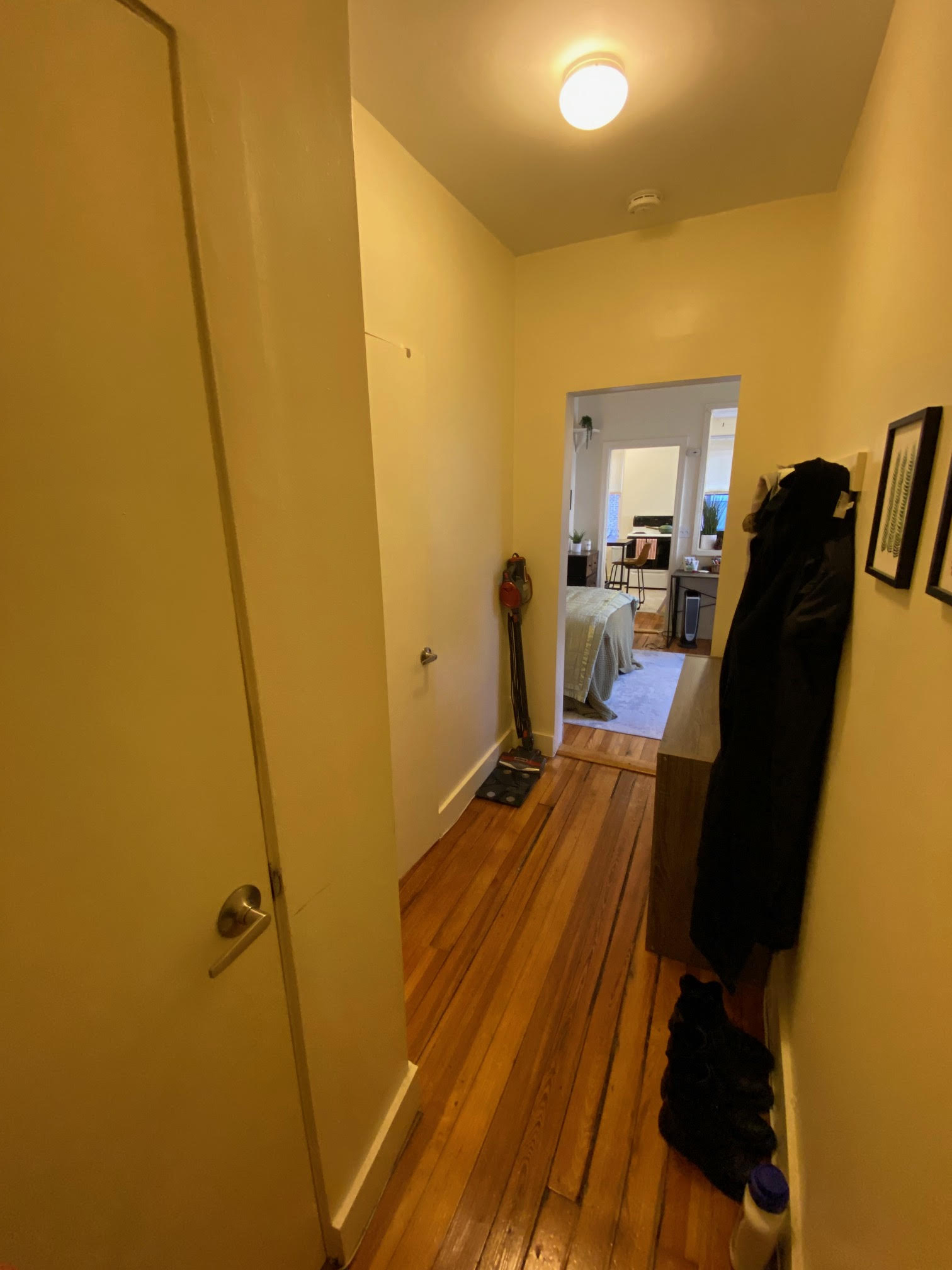 68 Myrtle St, Beacon Hill