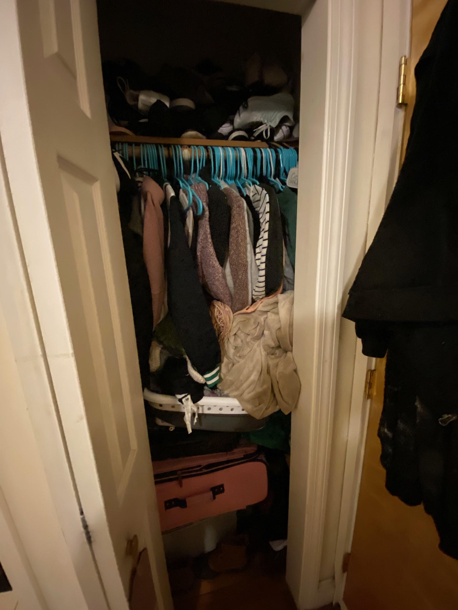 64 Myrtle St, Beacon Hill