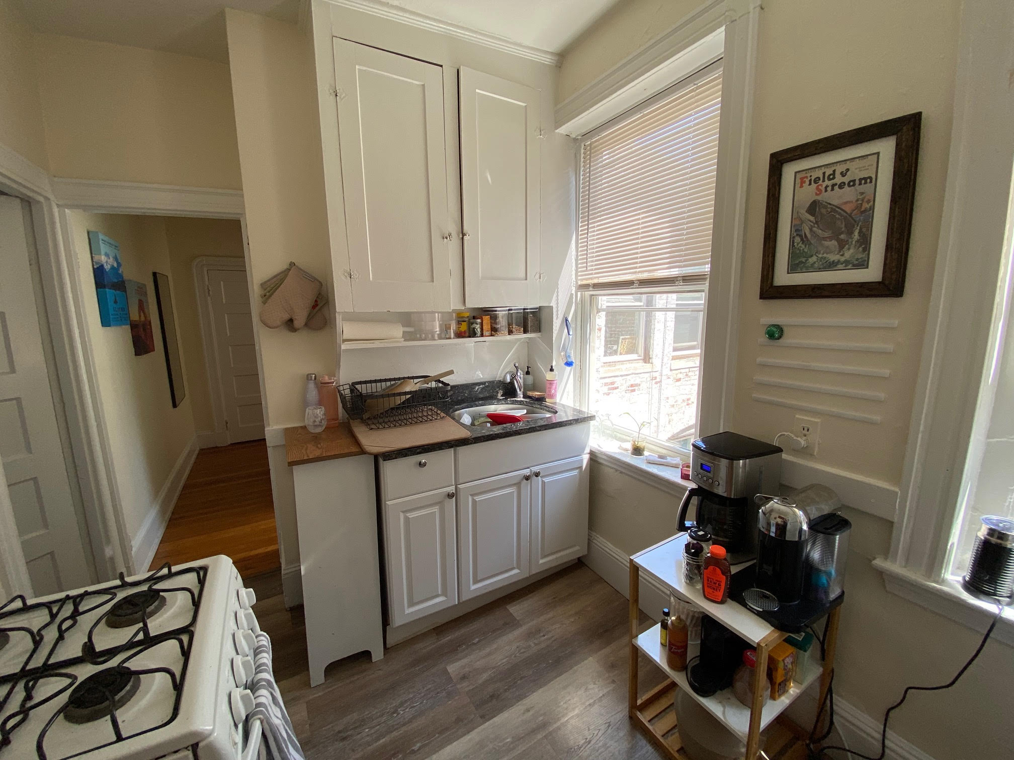 7 Grove St, Beacon Hill