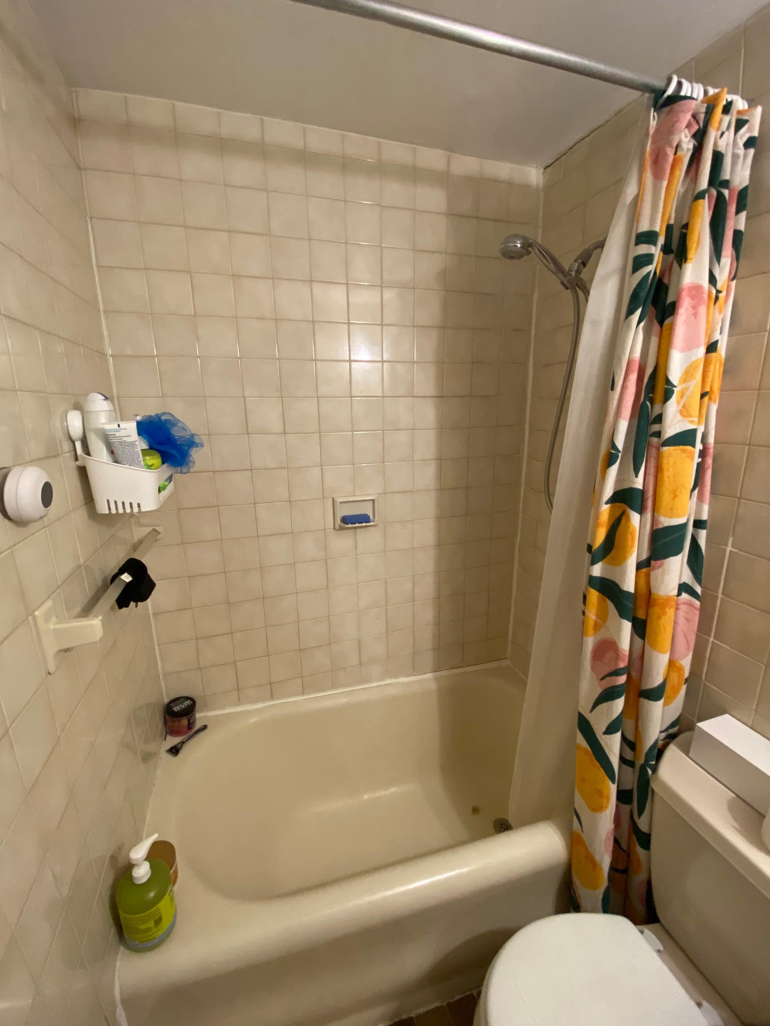 58 Russell St, Beacon Hill